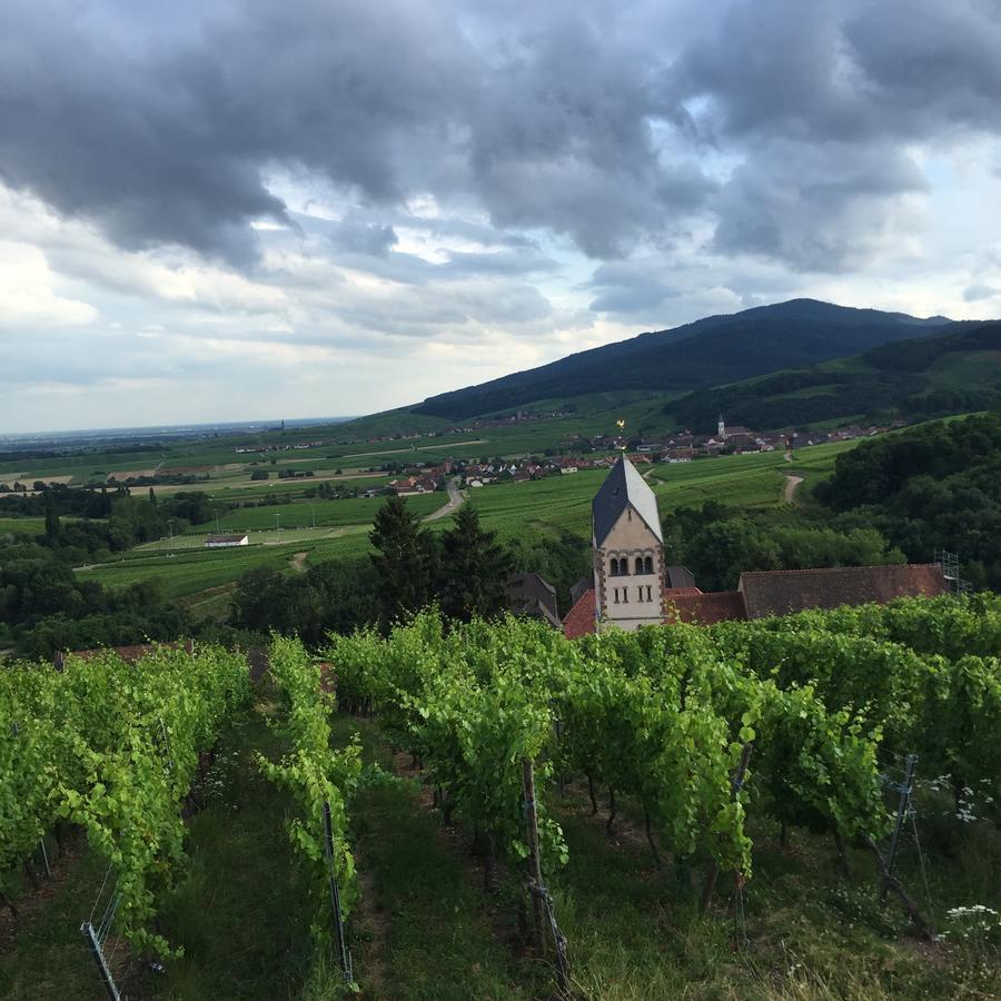 Gite Fleur De Vignes Itterswiller Exterior foto